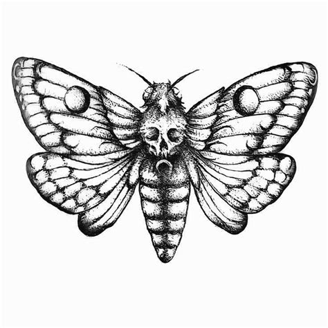 Pin By Aleah Rachel On Tattoos In 2024 Moth Tattoo Design Moth