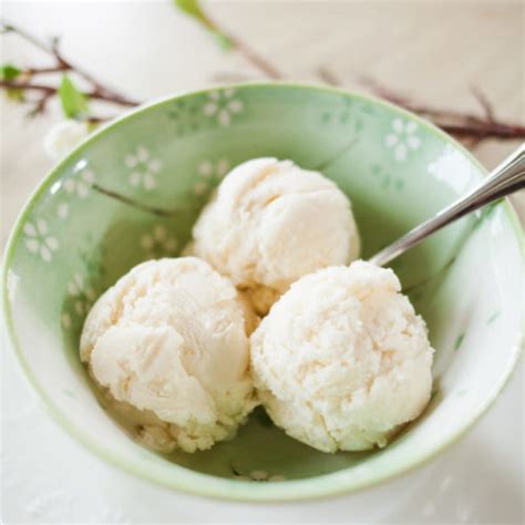 Vanilla Sugar Free Ice Cream Recipe Beautiful Life And Home