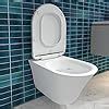 Kohler Vive Wall Mounted Toilet True Rimless Ceramic Western Bathroom