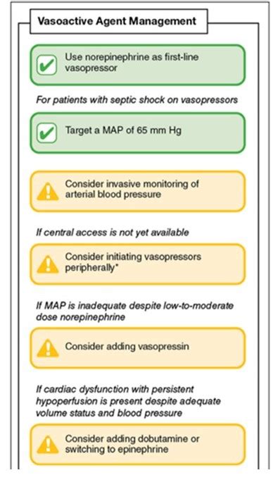 Surviving Sepsis Campaign Guidelines Sepsis Program Optimization