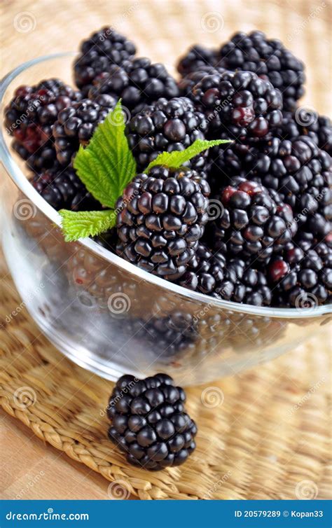 Blackberries In A Glass Bowl Stock Image Image Of Leaf Blackberries