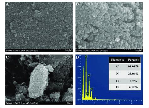 Sem Images Of Naked Fe O Nanoparticles A Fe O Cs