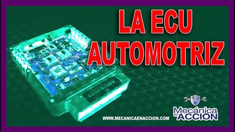 Todo Lo Que Necesitas Saber Sobre El Ecu En Un Auto Funcionamiento