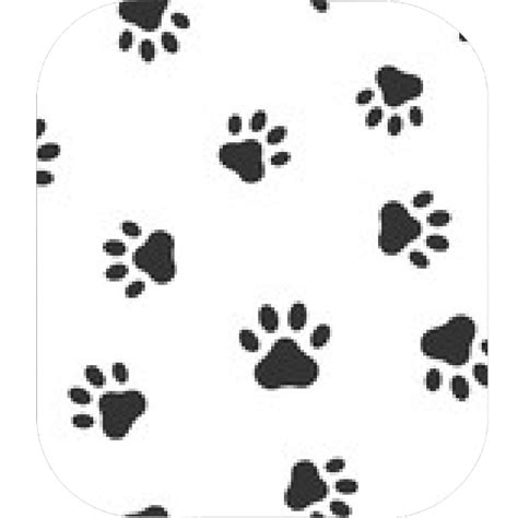 Bear Paw Print Vector at GetDrawings | Free download