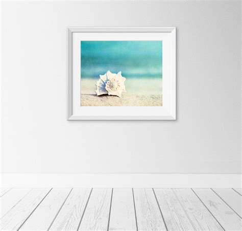 Seashell Beach Photography | Aqua Beach Seashell Print – Carolyn ...