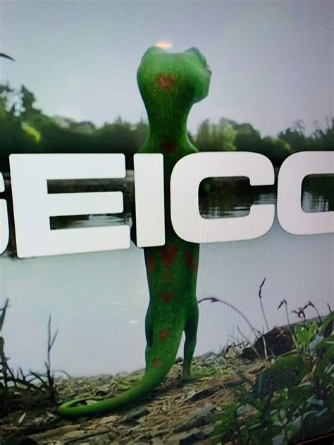 The spots on the back of the Geico Gecko are hearts. : r/DesignPorn