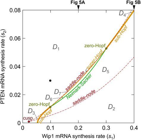 Two-dimensional bifurcation diagram showing various types of ... 