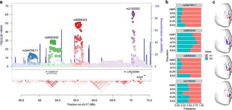 Multi Peak In Q Region A Association Variants In The Sox Locus