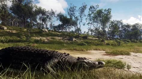 TheHunter Call Of The Wild Official Emerald Coast Australia DLC