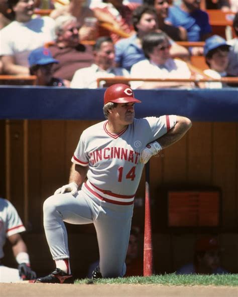 Pete Rose Editorial Stock Image Image Of Rose Game 74066519