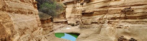 QESHM ISLAND | Parsi Tours