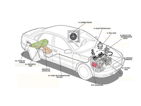 Los Coches De Gas Glp M S Ecol Gicos Y Baratos Mundorecambio Info