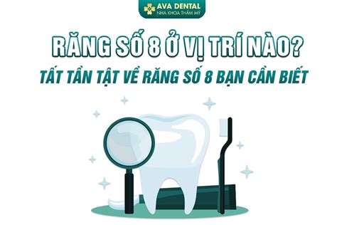 Tất Tần Tật Về Răng Số 8 Mà Bạn Nên Biết Nha Khoa AVA