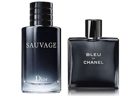 Best Luxury Men's Cologne Vs | Literacy Basics