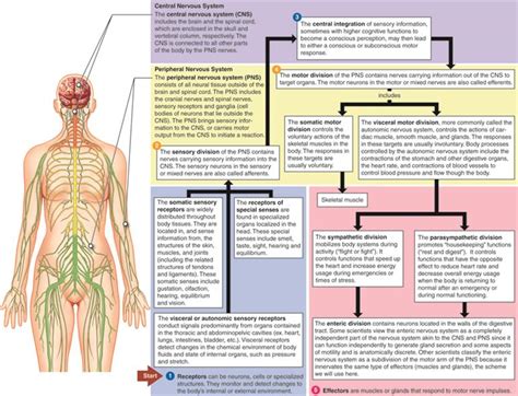 Mindmap Lesson Science Cbse Class