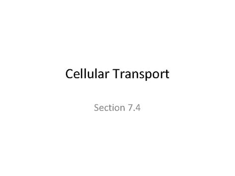 Cellular Transport Section 7 4 Cellular Structure And