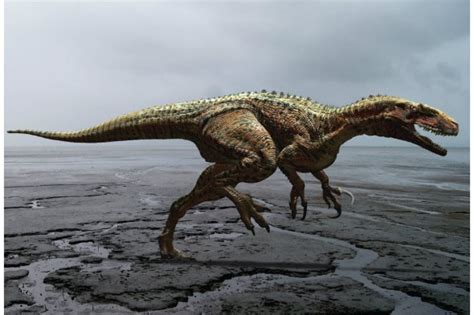 Walking With Dinosaurs Carnotaurus