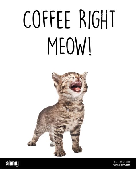 Coffee Right MEOW! Stock Photo - Alamy