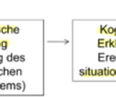 Vl Soz Kognition Emotion Karteikarten Quizlet