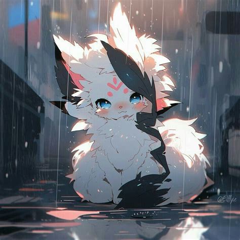 Pin By た件 もう好きになって On Mèo Méo Meo Mèo Meo Cute Anime Cat Cute Animal