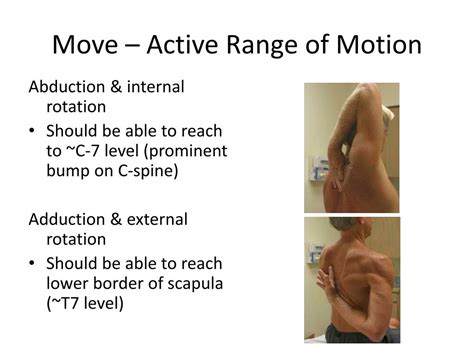 Normal Shoulder Range Of Motion Hopalley