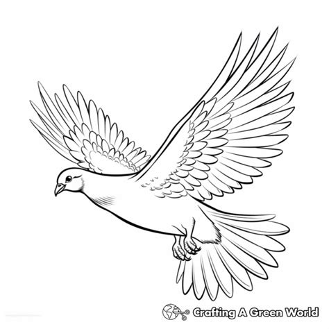 Peace Dove Coloring Pages - Free & Printable!