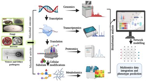 Flow Chart Depicts Multi Omic Tool With Data Integration And Artificial