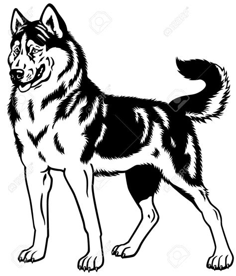 Collection Of Husky Clipart Free Download Best Husky Clipart On