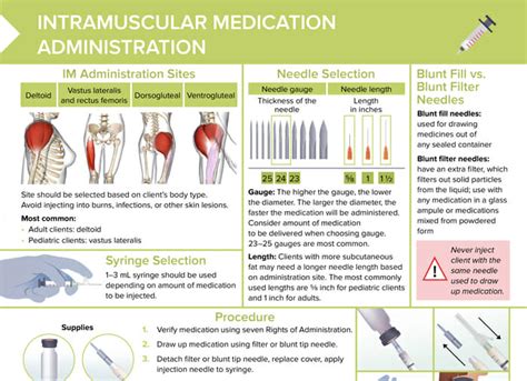 Intramuscular Injection Technique