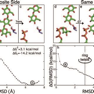 The Two Scenarios Of Glycosyl Transfer Gt And Cellulose Translocation