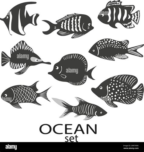 fish silhouettes set collection  black  white sea fish isolated