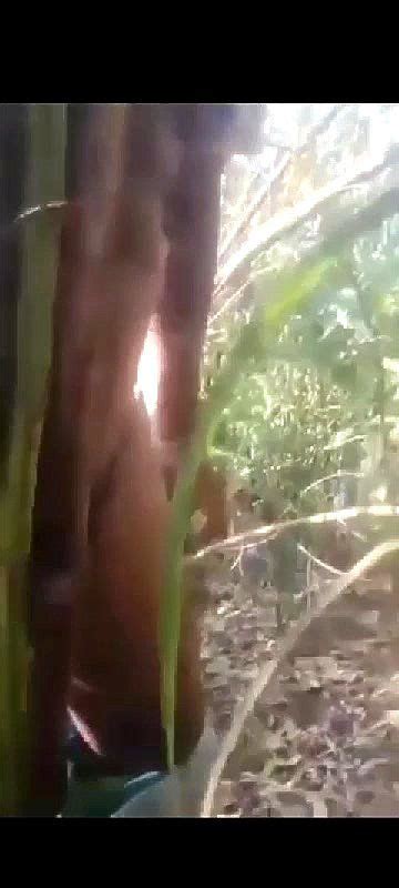 Watch เงยนควย Gay Asain Outdoor Porn SpankBang