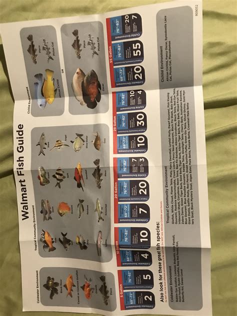 This Incorrect Fish Guide” From Walmart Raquariums