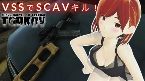 【タルコフ】vssでscavキル！the Terragroup Trail Part 10【 Escapefromtarkov】【vtuber