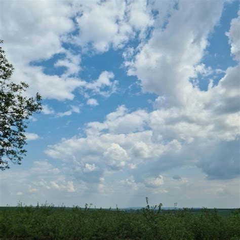 Un Campo Con Un Cielo Azul Y Nubes Foto Premium