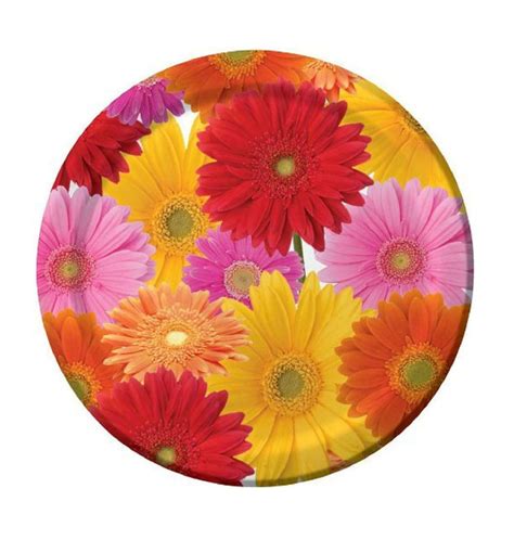 Daisy Printed Party Plates | Crazy For Daisy