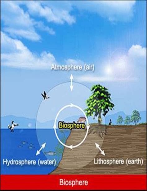 Biologi Lingkungan Hidup Bioma Bioma Penyusun Biosfer Di Bumi