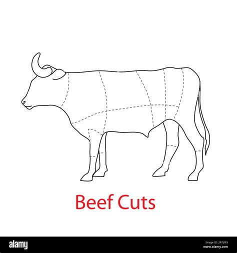 Scheme Of The Template Beef Cuts Stock Vector Image Art Alamy