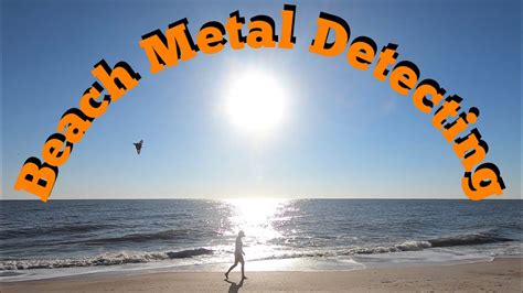 Beach Metal Detecting Whites MX 7 HexScoop Things To Do In Florida