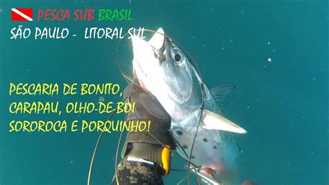 Pesca Sub Pescaria De Bonito Carapau Olho De Boi Sororoca E