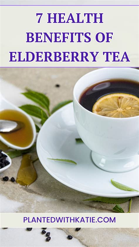 Health Benefits Of Elderberry Tea How To Make It