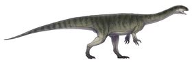 Zigongosaurus - Wikipedia