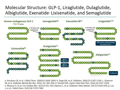 Semaglutide Vs Liraglutide Structure