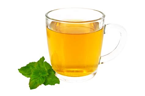 Fresh Herbal Tea Cup With Mint Isolated On Transparent Background