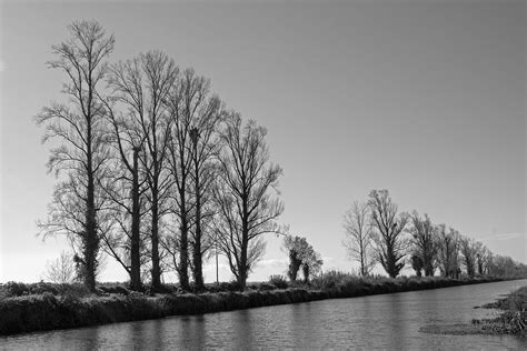 Mondego River, Montemor O Velho, Coimbra, Portugal