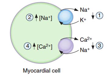 Types of Hydrogens Diagram