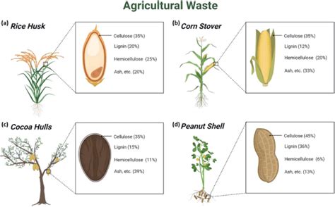 Examples Of A Rice Husk B Corn Stover C Cocoa Hulls And D