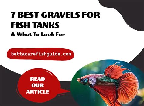 7 Best Gravels For Fish Tanks & What To Look For