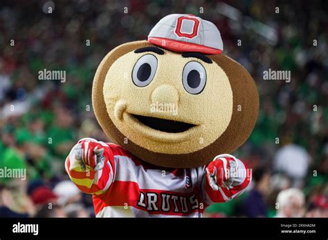 South Bend Indiana Usa 23rd Sep 2023 Ohio State Mascot Brutus