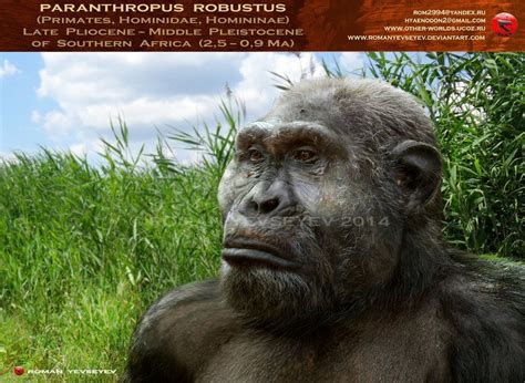 Paranthropus robustus by RomanYevseyev | Prehistoric animals ...